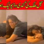 Sajal Malik