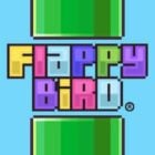 Flappy Maka Aaaaag APK v0.1 Download Game For Android Free